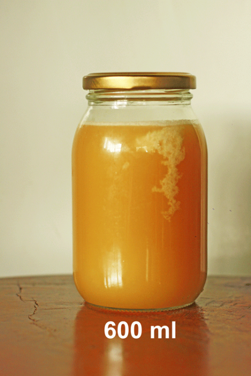 Miel de abeja (microemprendimiento)