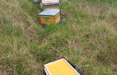 REINAS DE LA CASA 05