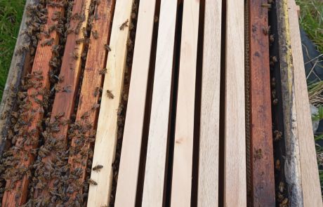 REINAS DE LA CASA 06