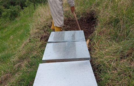 REINAS DE LA CASA 10