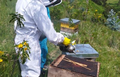 REINAS DE LA CASA 14