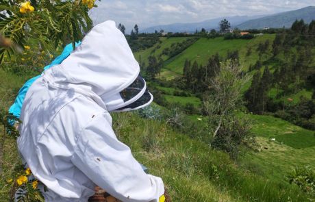 REINAS DE LA CASA 15