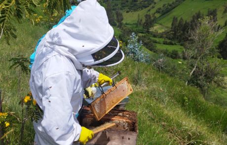 REINAS DE LA CASA 16