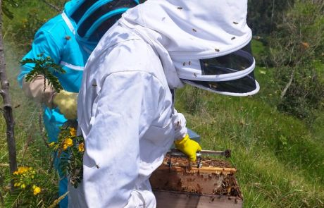 REINAS DE LA CASA 18